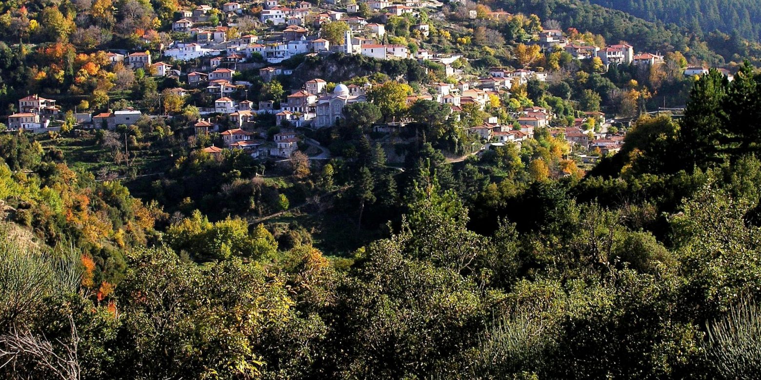 Δημιουργία Θερμοκοιτίδας Νέων Επιχειρήσεων στη Βαμβακού Λακωνίας!