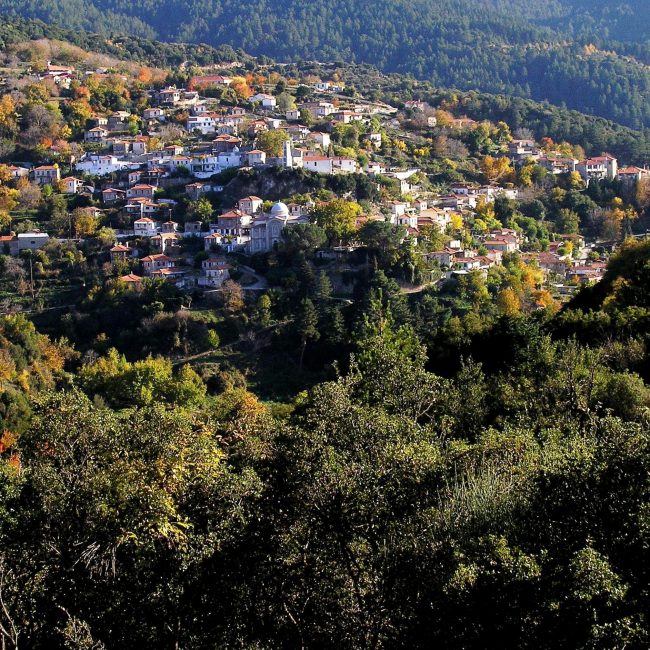 Δημιουργία Θερμοκοιτίδας Νέων Επιχειρήσεων στη Βαμβακού Λακωνίας!