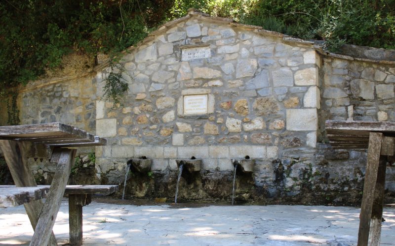 Water Stem στην Κάτω Βρύση