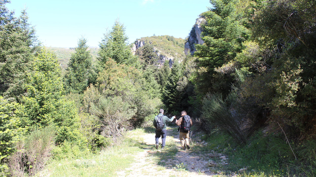 Trekking to the walnut trees of Vamvakou