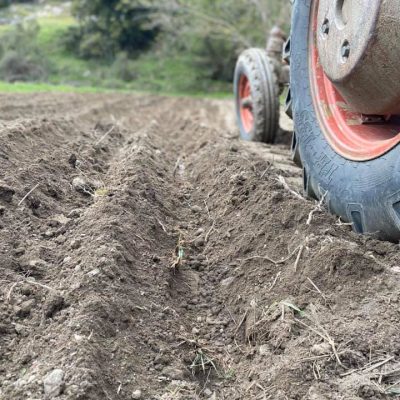 Earth Day | Let’s plant potatoes