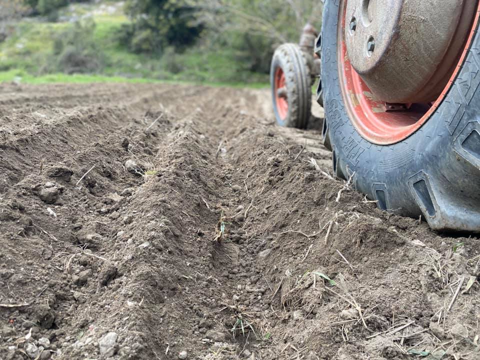 Earth Day | Let’s plant potatoes