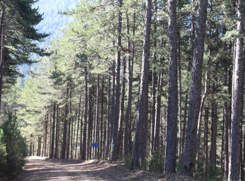 Mountain cycling on Trails of Vamvakou