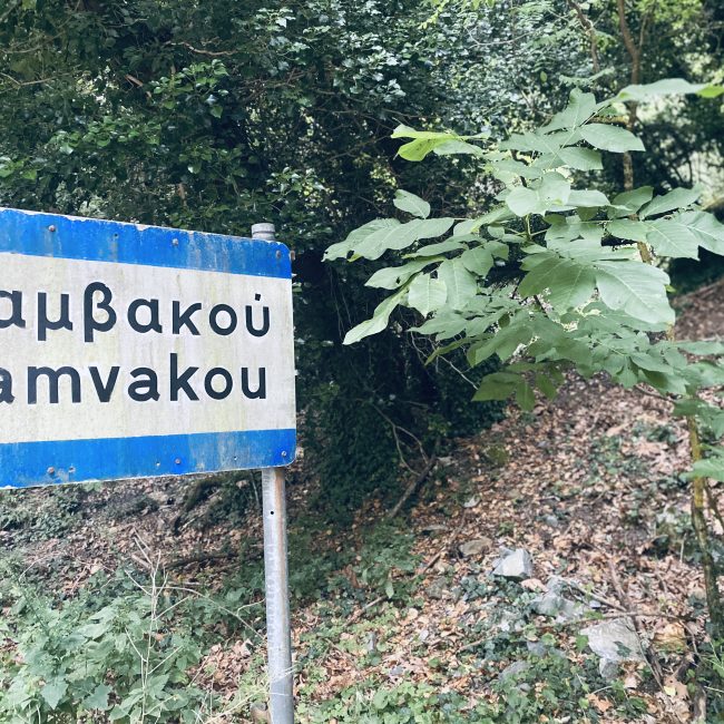 Σχέδιο ολιστικής ανάπτυξης Βαμβακούς