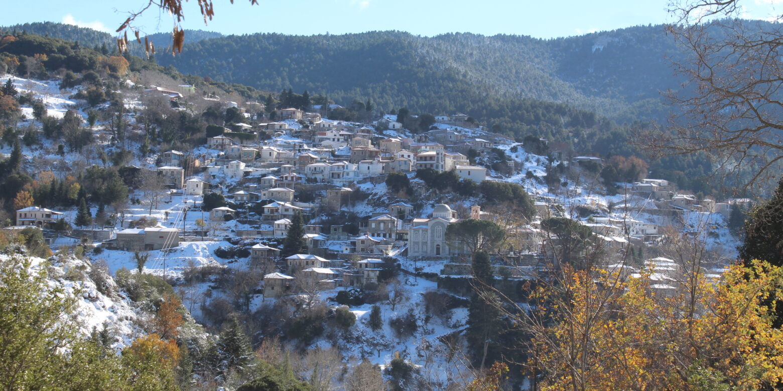 Με τις εκδηλώσεις του ο Γενάρης, όλης της χρονιάς μπροστάρης!