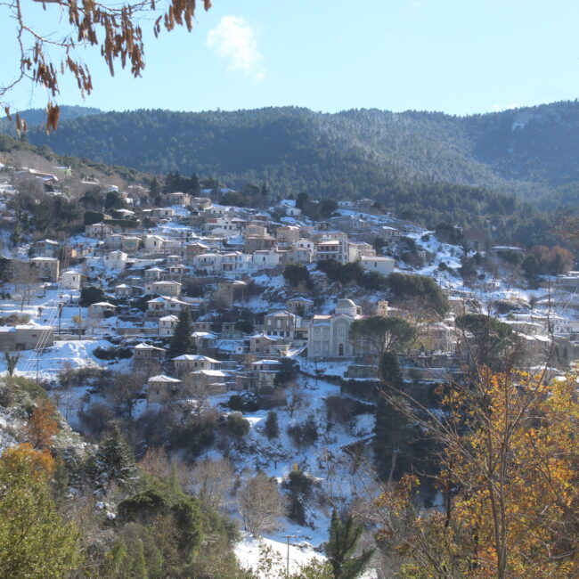 Με τις εκδηλώσεις του ο Γενάρης, όλης της χρονιάς μπροστάρης!