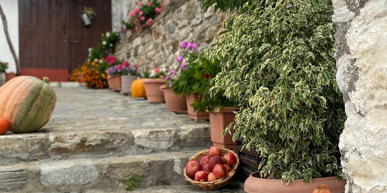 Καρυδένιος φθινοπωρινός Οκτώβρης έρχεται στη Βαμβακού!