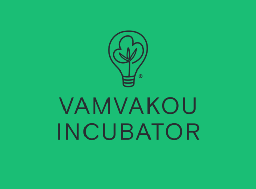 Διαδικτυακή παρουσίαση & γνωριμία με τη Vamvakou Incubator