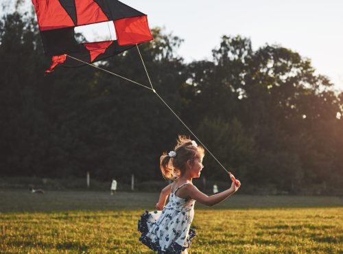 Βαμβακούλουμα 2026