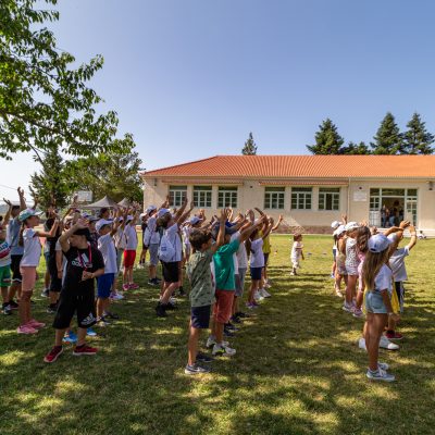 «Από τη μόρφωση στις δεξιότητες», Vamvakou Revival, ΕφΣυν