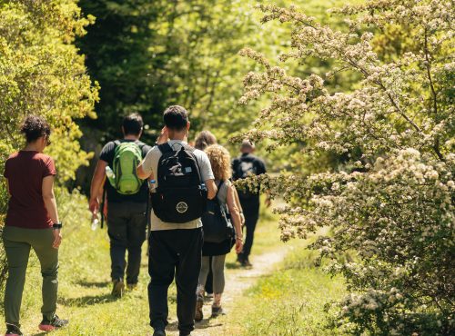 Let's go...hiking, let's go to...Loggous