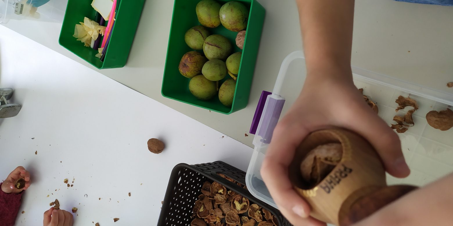 Physics, Chemistry & Biology hidden in the Vamvakou walnuts