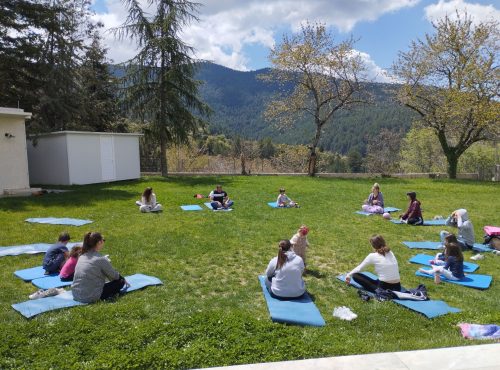 Family Yoga