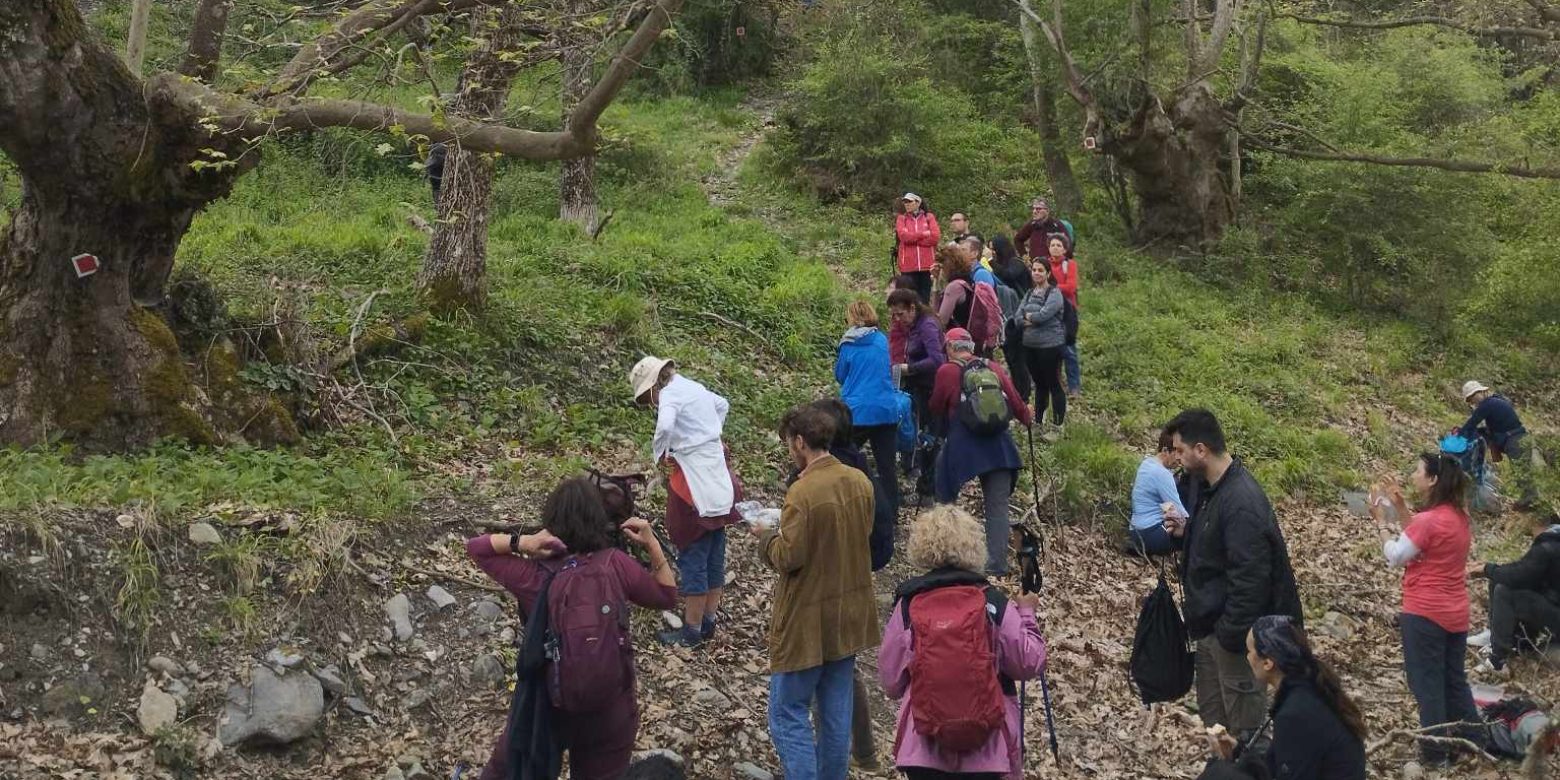 Πάμε πεζοπορία… Πάμε Λογγούς