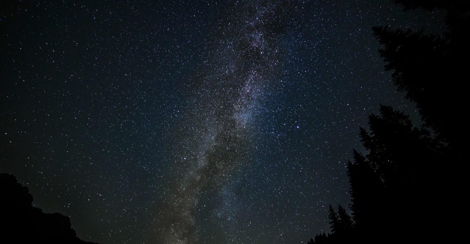 Image by Freepik / wirestock