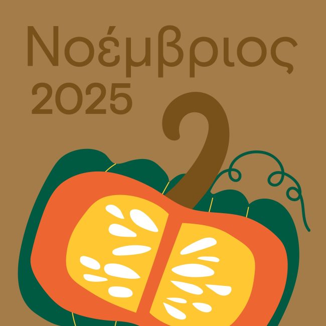 Νοέμβριος στη Βαμβακού: Εκεί, που η δράση συναντά τη χαλάρωση!