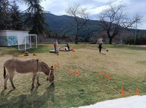 Eλεύθερο παιχνίδι για όλους