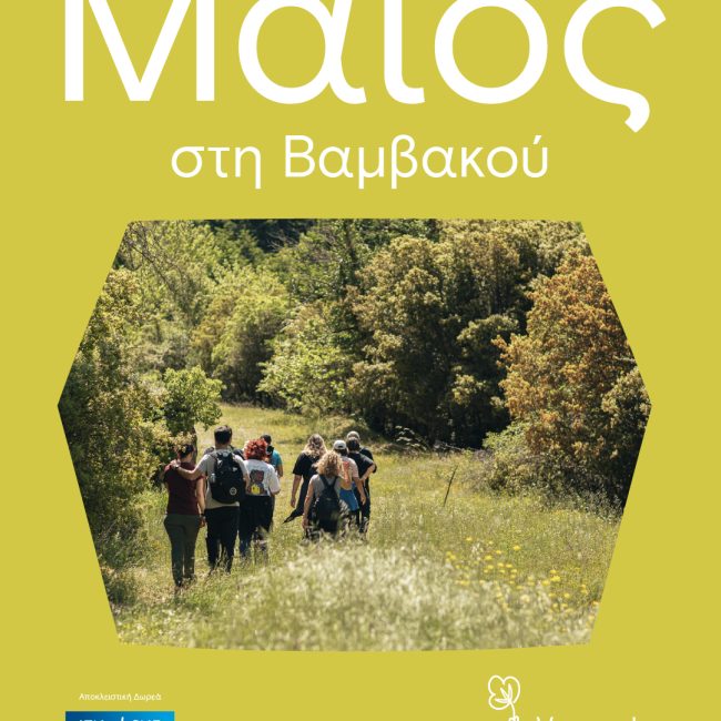 Οι «κανόνες» του Μαΐου στη Βαμβακού!