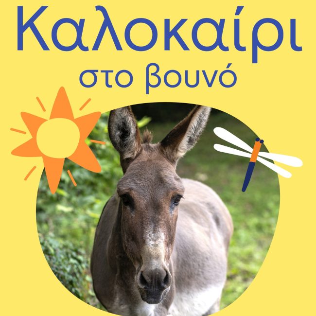 Η Βαμβακού έχει σχέδιο για το καλοκαίρι