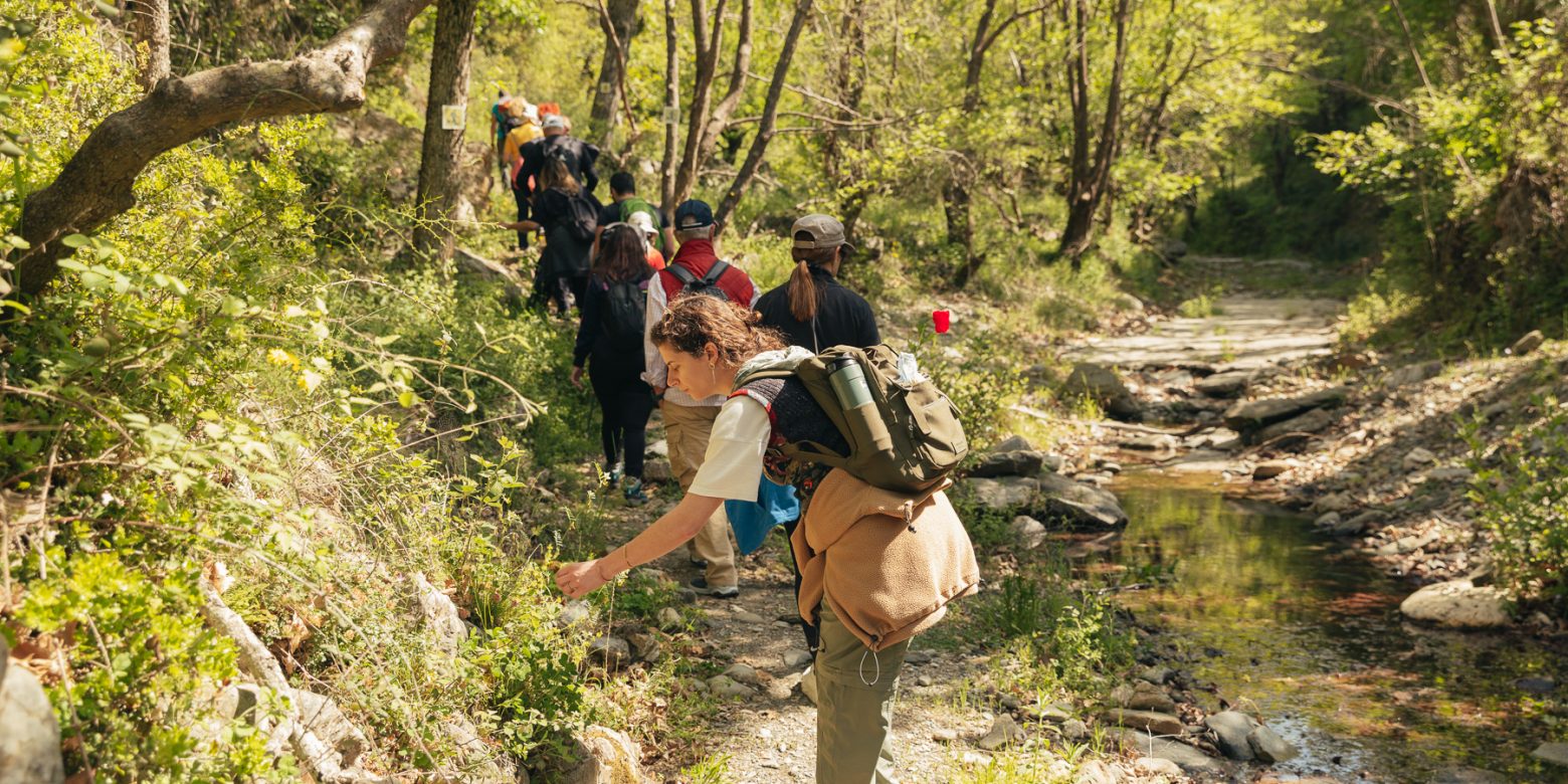 Mission: In the footsteps of the Walnut Tree!